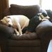 Karen Griffith - Facebook