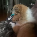 Karen Harper Berry - @karen_harper_berry - Instagram