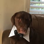Karen Harper-Laporte - @karenharperlaporte - Instagram