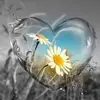 karen.harper - @karen.harper - TikTok