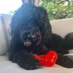 Karen Harvey Mousaw - @kharveymousaw - Instagram