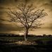 Karyn Green Harvey - Facebook