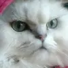 Karen.Hays - @karenhayskfaylisr - TikTok