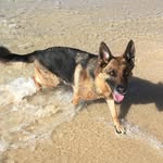 Karyn Henderson - @karyn.henderson.9 - Instagram