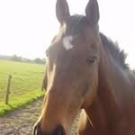 Karen Hodge - @karenhodge8489 - Instagram