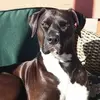 Karyn Johnson - @karyn.johnson5 - TikTok