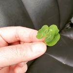 Karen Keyser - @kkeyser1979 - Instagram
