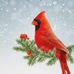 Karen Kirk - Facebook