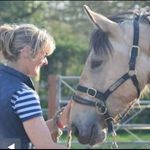 Karen Lord - @stablelass66 - Instagram