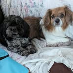 Karen Maxwell - Facebook