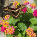 Karyn McDaniel - Facebook