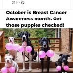 Karen Mcdowell - @karen.mcdowell.125 - Instagram