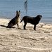 Karyn Mcgrath - Facebook
