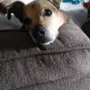 karenmeeks - @karenmeeks - TikTok