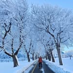 Karyn E. Meier - @karyn.meier - Instagram