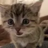 Karen Miles - @karen.miles39 - TikTok