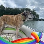 Karen Morris - @karen.morris13 - Instagram
