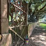Karen Morrow - @karenburnsmorrowartist - Instagram