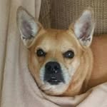 Karen Morrow - @karen.morrow.50 - Instagram