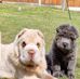 Karen Oneill - Facebook