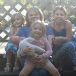 Karen Orr - @karen.orr.7583 - Instagram