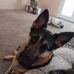 Karen Patton - Facebook