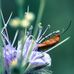 Karyn Payne - Facebook