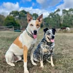Karen Pearson - @karenpearson1961 - Instagram