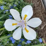 Karyn Cheshire Pearson - @pearson824 - Instagram