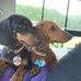 Karyn Perry - Facebook