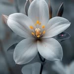 Karen Porter - @karen.porter.5855 - Instagram