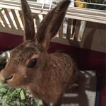 Karen Potter - @karen.potter.1654700 - Instagram