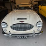Karen Potts - @hectorthehealey - Instagram