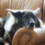 Karen Potts - @karen.potts236 - Instagram