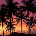 Karen Quick - @floridasun1955 - Instagram