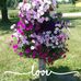 Karen Quick - Facebook