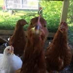 Karen Quick - @karen.quick.75 - Instagram