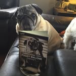 Karyn Quick - @way2funi - Instagram