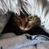 Karen Rasmussen - @karen.rasmussen79 - TikTok