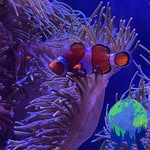 Karen Raymond - @karen.raymond.35 - Instagram