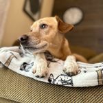 Karyn Nelson Woolsey - @karynrose42 - Instagram