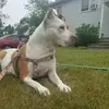 Karyn Rose - @karyn.rose6 - TikTok