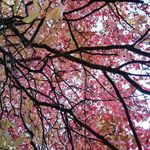 Karen Schubert - @nerak_anaj - Instagram