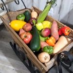 Karen Shade - @karenshade71 - Instagram