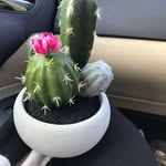 Karen Small - @karen.small.9862 - Instagram