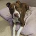 Karyn Snyder - Facebook
