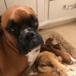 Karen Stevens - @karenstevens2018 - Instagram