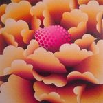 karyn stevens - @80pluspostage - Instagram