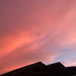 Karen Stevenson - @karenstevenson2019 - Instagram