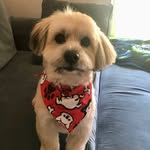 Karen Stevenson - @karen.stevenson.67 - Instagram